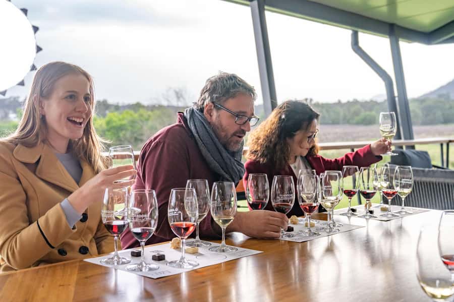 From Sydney: Award-Winning Hunter Valley Wine & Cheese Tour - Pickup timing and the drive: how the morning really sets you up