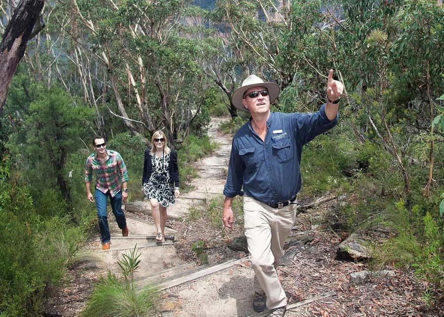 From Sydney: Blue Mountains Bushwalks & Featherdale Tour - Featherdale Wildlife Park: why this stop sets the tone
