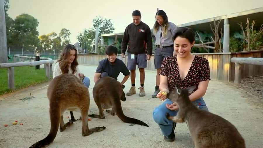 From Sydney: Blue Mountains Day Tour & Hop-on, Hop-off Tour - Scenic World Unlimited Discovery Pass: cable car, skyway, railway
