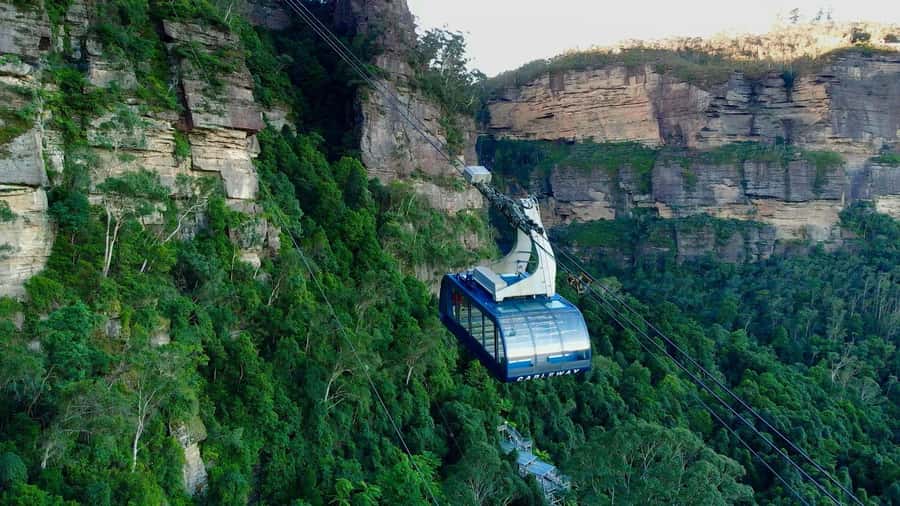 From Sydney: Blue Mountains Day Tour & Hop-on, Hop-off Tour - Getting back to Central: use the evening for recovery