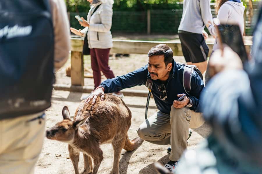 From Sydney: Blue Mountains Full-Day Trip - FAQ