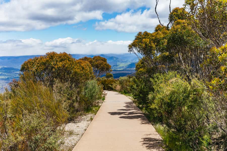 From Sydney: Blue Mountains Full-Day Trip - Should You Book This Blue Mountains Full-Day Trip?