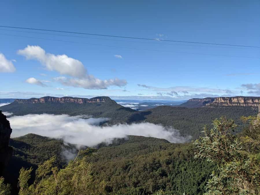 From Sydney: Blue Mountains Private Tour with Wildlife Park - Door-to-Door Transport: The Part That Saves Your Day