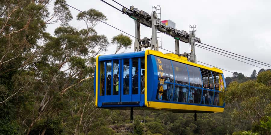 From Sydney: Blue Mountains, Scenic Railway, & Sydney Zoo - A Blue Mountains day trip that mixes animals and big views