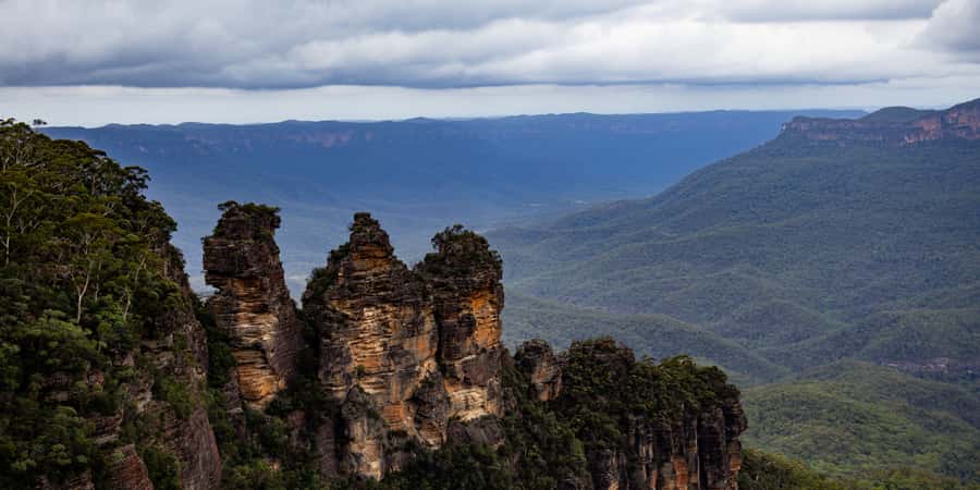 From Sydney: Blue Mountains, Scenic Railway, & Sydney Zoo - Sydney Zoo: wildlife time you can actually use