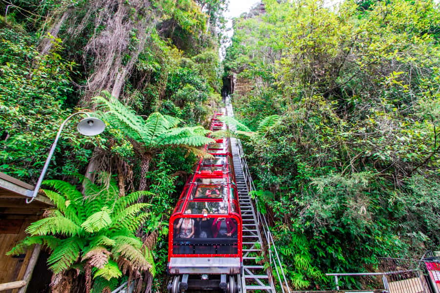 From Sydney: Blue Mountains, Scenic World, Zoo, & Ferry Ride - Echo Point and the Three Sisters: the photo stop that sets expectations