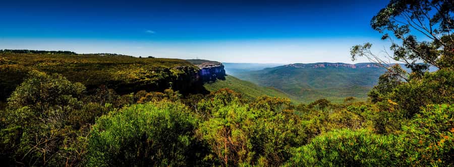 From Sydney: Blue Mountains Small-Group Tour Picnic & Hike - Key things to know before you go