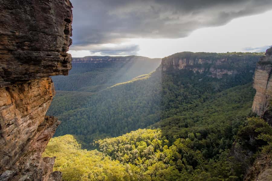 From Sydney: Blue Mountains, Sydney Zoo & Walking Tour - Homebush Bay finish: river boat transfer and ferry-return reality