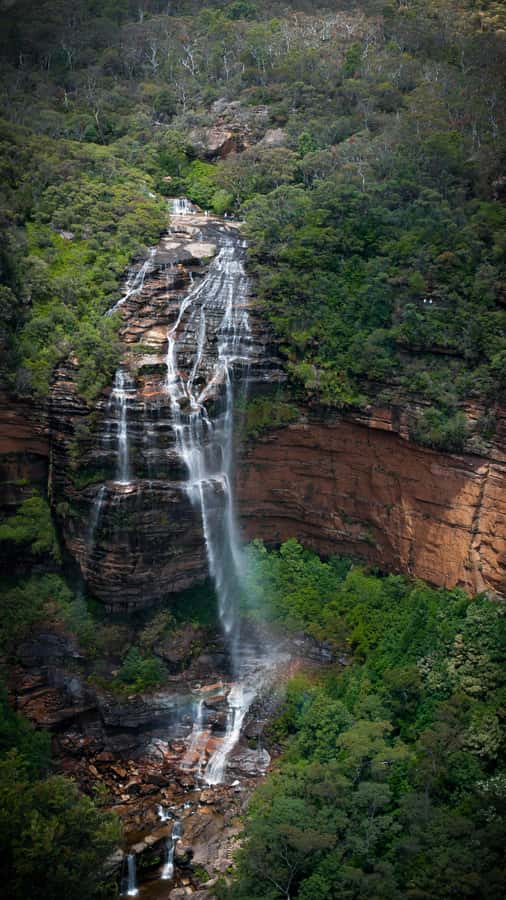 From Sydney: Blue Mountains, Sydney Zoo & Walking Tour - Echo Point for the Three Sisters and Jamison Valley views