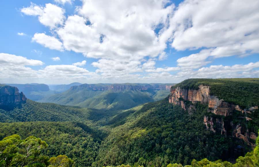 From Sydney: Blue Mountains, Sydney Zoo & Walking Tour - Scenic World: boardwalks, Cliff Walk, and optional paid rides