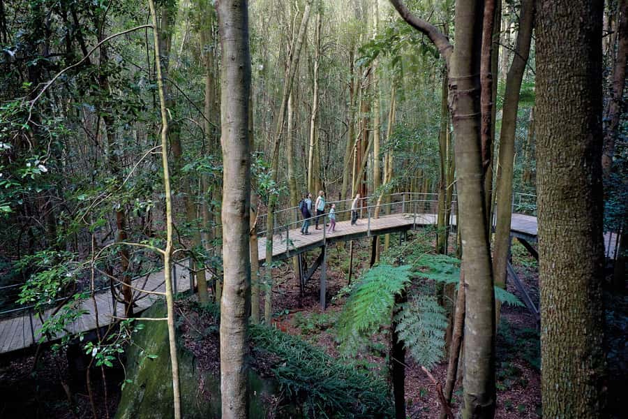 From Sydney: Blue Mountains, Sydney Zoo & Walking Tour - Katoomba’s big sightseeing momentum and how the timing feels