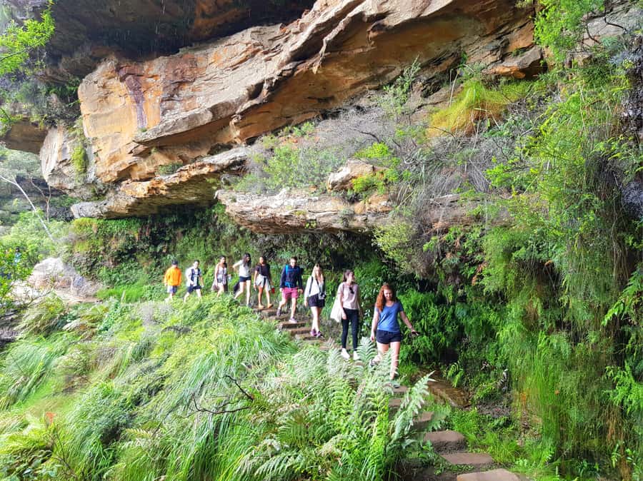 From Sydney: Blue Mountains Tour with Waterfall Walk & Lunch - Entering The Blue Mountains Without Driving Yourself