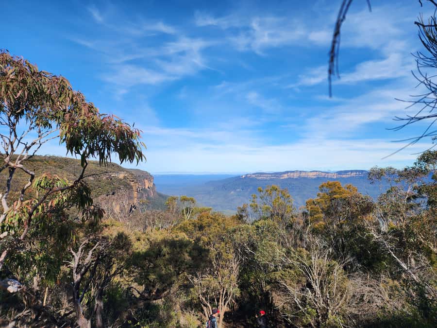 From Sydney: Blue Mountains Tour with Waterfall Walk & Lunch - The Minibus Day Plan: Small Group Comfort and Sensible Breaks