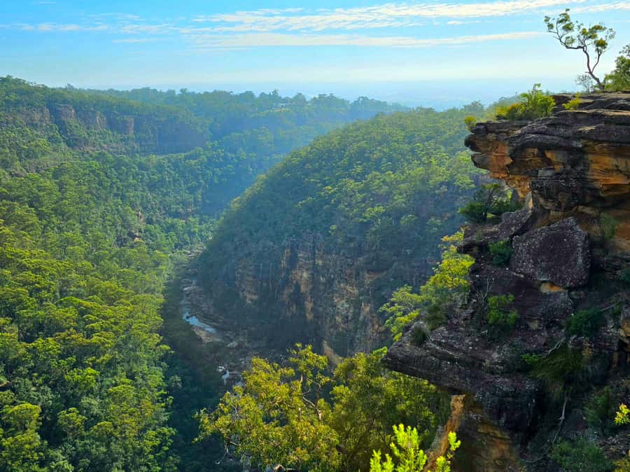 From Sydney: Blue Mountains Tour with Waterfall Walk & Lunch - Katoomba and The Three Sisters: Dreamtime Story Meets Valley Views