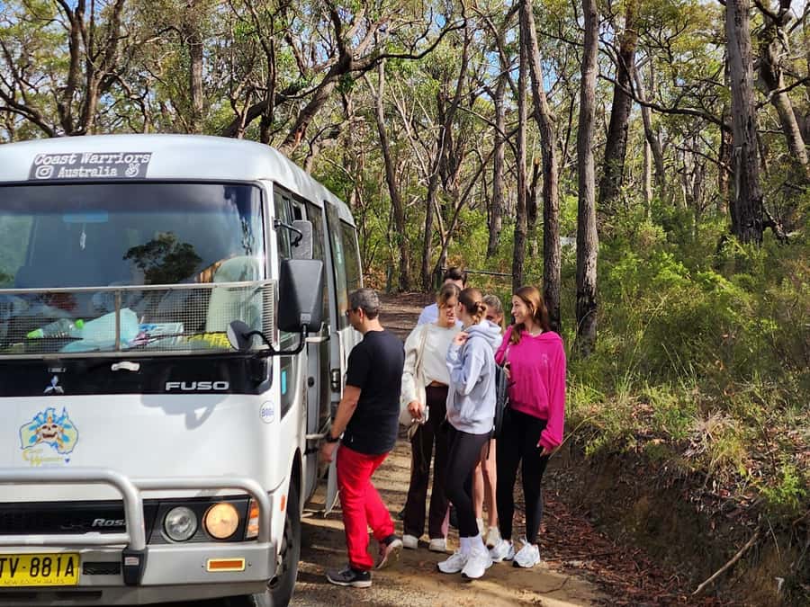 From Sydney: Blue Mountains Tour with Waterfall Walk & Lunch - Weather, Closures, and How the Day Stays in Motion