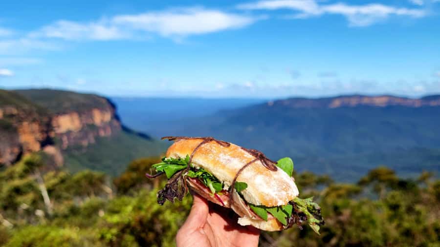 From Sydney: Blue Mountains Tour with Waterfall Walk & Lunch - Practical Gear and Fitness Reality Check