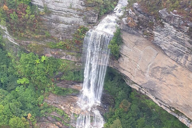 From Sydney: Blue Mountains with Zoo, Koala Photo & Scenic World - Leura Village Lunch Stop: Your Break in a Real Town
