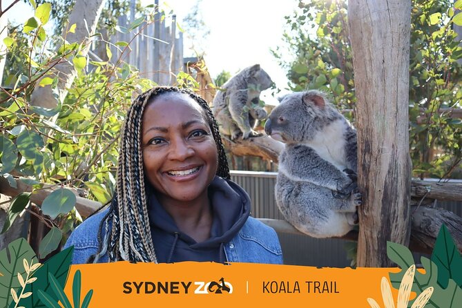 From Sydney: Blue Mountains with Zoo, Koala Photo & Scenic World - Cahill’s Lookout: A Final Big View Before the Return