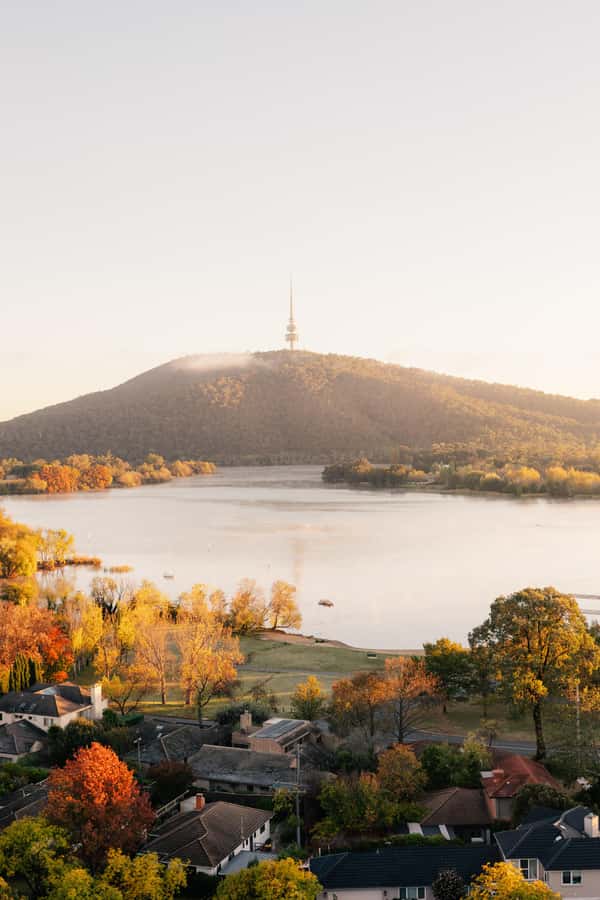 From Sydney: Explore Canberra Includes Buffet Lunch - Star Buffet Canberra: included lunch that’s actually a highlight