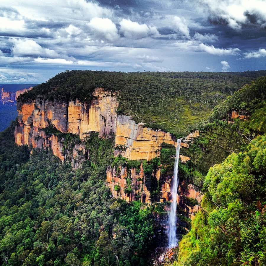 From Sydney: Full Day Blue Mountains Tour in a small group - Who should book this Blue Mountains tour