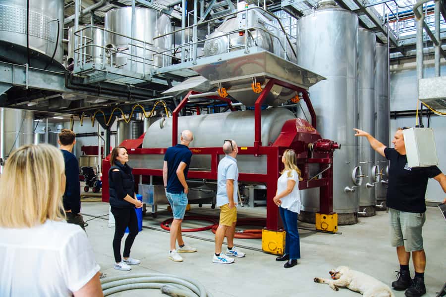 From Sydney: Full-Day Hunter Valley Tour w/ Tastings & Lunch - Cheese and Chocolate Pairings: More Than a Snack Stop