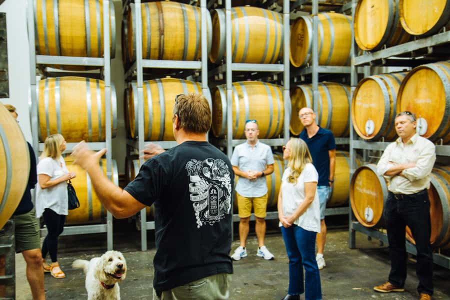 From Sydney: Full-Day Hunter Valley Tour w/ Tastings & Lunch - The Behind-the-Scenes Wine Production Tour