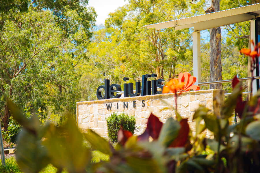 From Sydney: Full-Day Hunter Valley Tour w/ Tastings & Lunch - Price and Value: Is $190 Worth It?