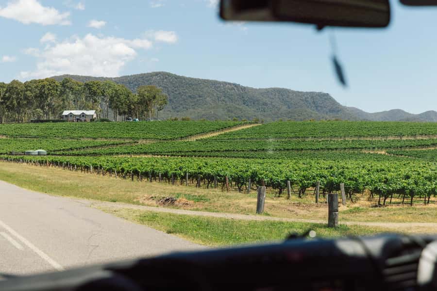From Sydney: Full-Day Hunter Valley Wine Tour & Lunch - Getting There: Early Pickups, a Comfortable Minibus, and a Bathroom Break