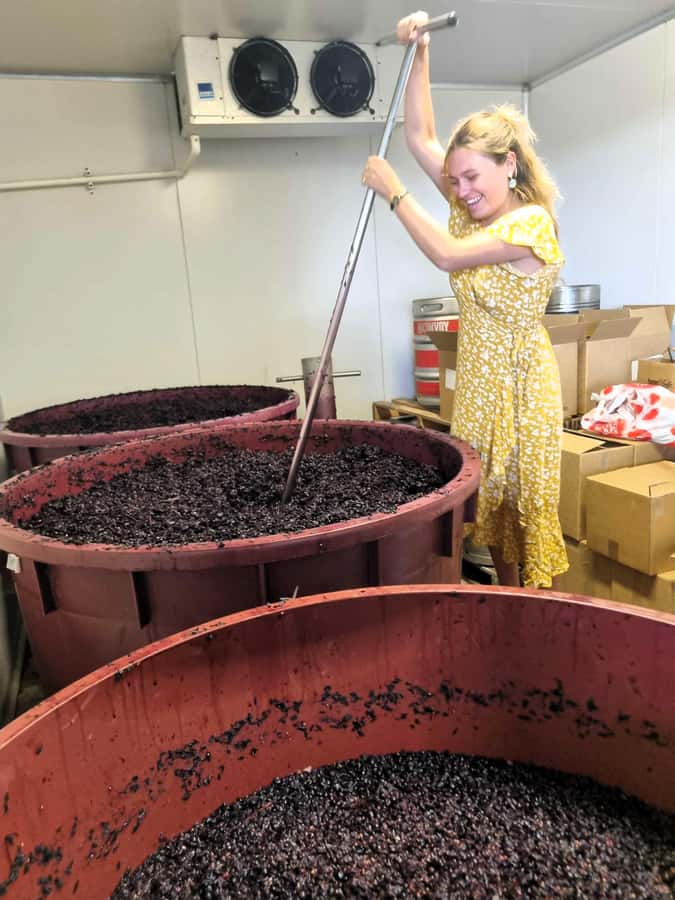 From Sydney: Hunter Valley Beer & Wine Group Tour - Key takeaways before you go