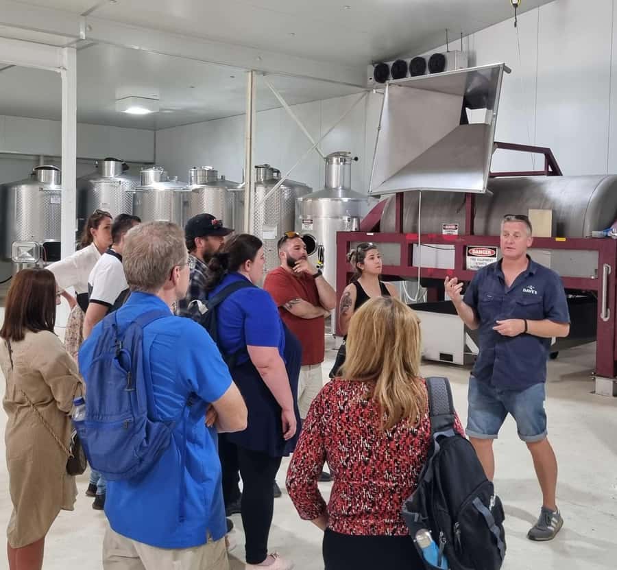 From Sydney: Hunter Valley Beer & Wine Group Tour - Winery and vineyard time: learning first, tasting second