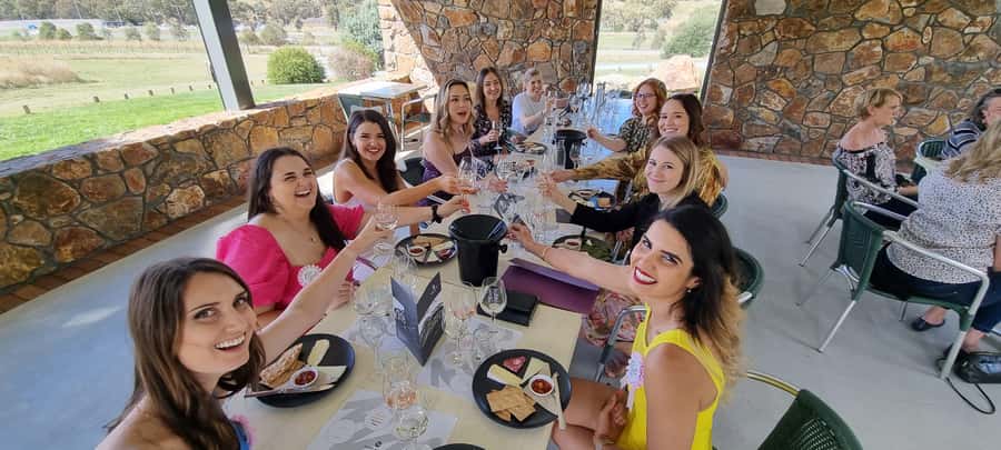From Sydney: Hunter Valley Wine, Gin & Food Tastings Tour - The hour-long wine tastings: how to taste smarter (not just more)