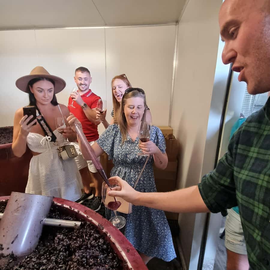 From Sydney: Hunter Valley Wine, Gin & Food Tastings Tour - Cheese and chocolate pairings: where the flavors click