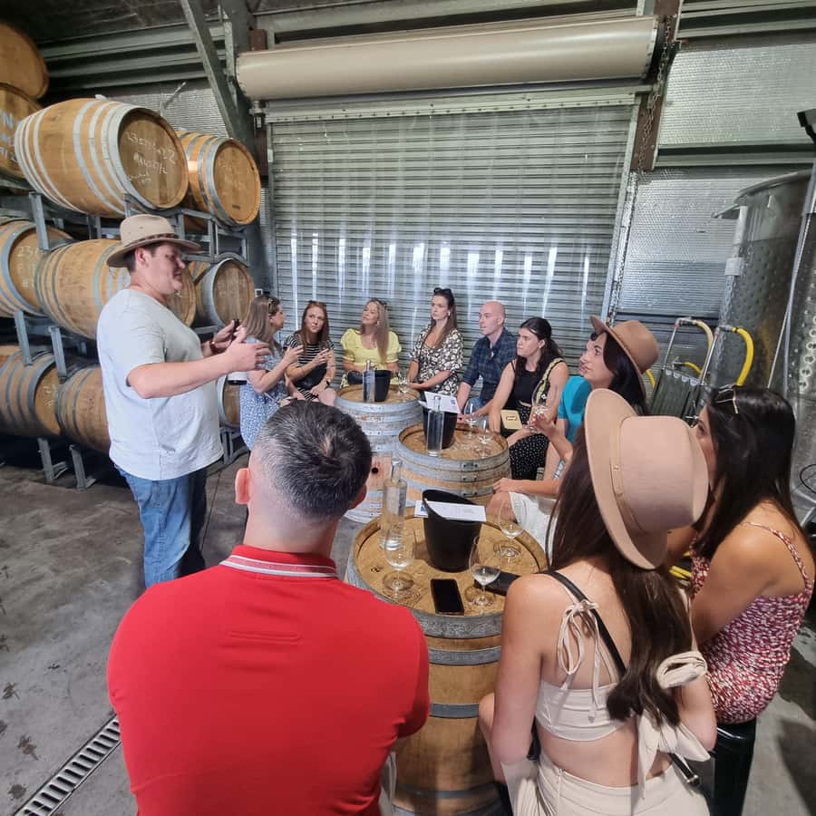 From Sydney: Hunter Valley Wine, Gin & Food Tastings Tour - The short café break that helps you enjoy the tastings