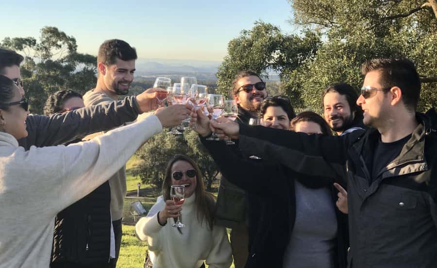 From Sydney: Hunter Valley Wine Tasting & Winery Picnic Tour - The Rotating Winery Stops: Choosing Your Second and Third Tasting