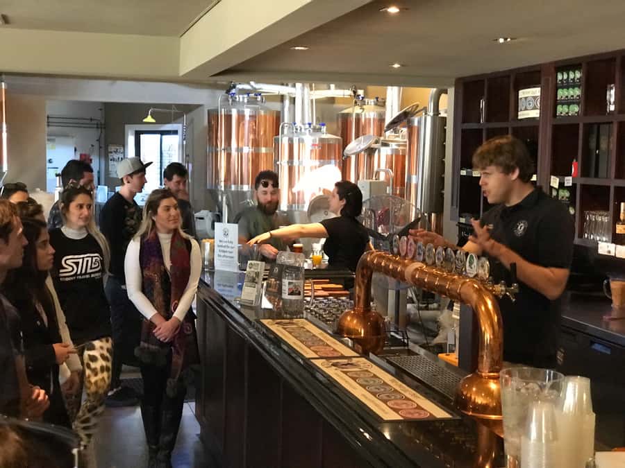 From Sydney: Hunter Valley Wine Tasting & Winery Picnic Tour - Hunter Valley Chocolate Company: Belgian Treats and Easy Souvenir Time