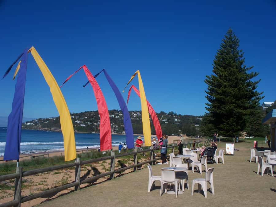 From Sydney: Location Tour of Home and Away - Price and Logistics: what $102 covers (and what you should budget extra for)