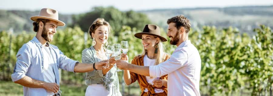From Sydney: Luxury Hunter Valley Private Tour - Luxury Hunter Valley Pickup: Sydney CBD to the Wine Country Fast