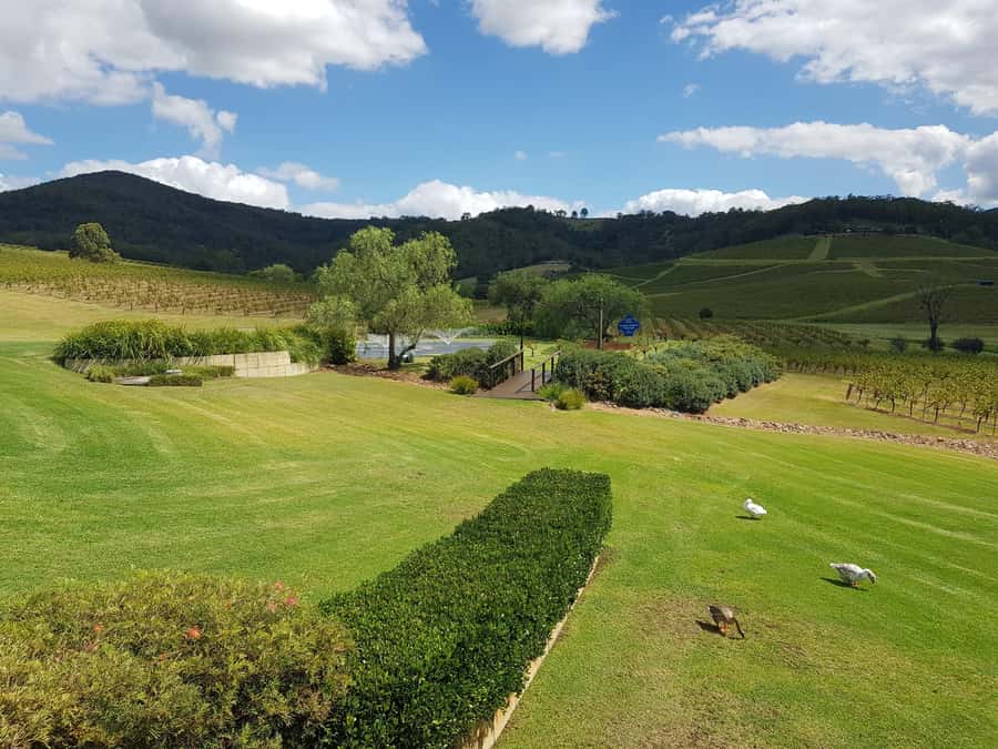 From Sydney: Luxury Hunter Valley Private Tour - Wollombi Coffee and First Tastings: A Relaxed Start
