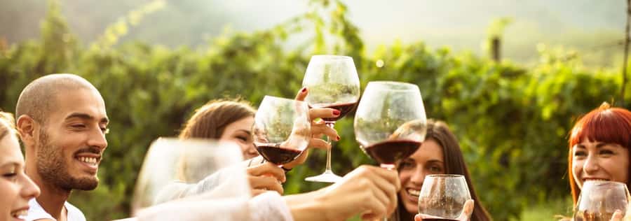 From Sydney: Luxury Hunter Valley Private Tour - Price and Value: Is $743 Per Person Reasonable?