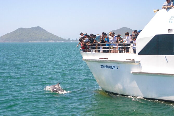 From Sydney: Port Stephens Dolphin, Koalas, Lunch & Sandboarding - Key Things I Think You’ll Care About