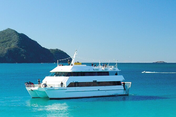 From Sydney: Port Stephens Dolphin, Koalas, Lunch & Sandboarding - Port Stephens in One Ticket: Dolphins, Koalas, and Sandboarding