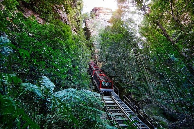 Fully Inclusive Blue Mountains Private Tour inc Scenic World & Featherdale Entry - Scenic World: the rides are the point, and they’re fully covered