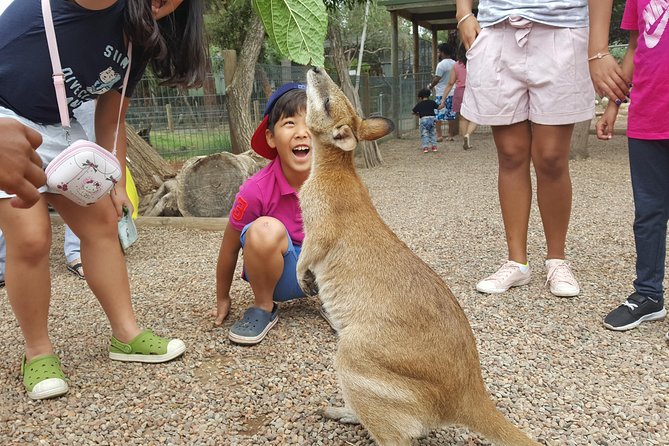 Fully Inclusive Blue Mountains Private Tour inc Scenic World & Featherdale Entry - Giant Stairway and Echo Point: classic views with options for effort