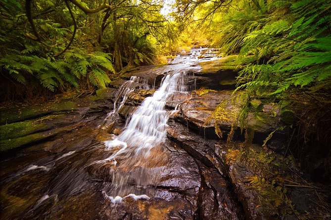 Fully Inclusive Blue Mountains Private Tour inc Scenic World & Featherdale Entry - The Three Sisters: the photo spot that actually deserves time
