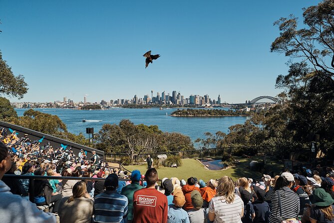 Go City | Sydney Explorer Pass with 25+ Attractions and Tours - Museums and games in Darling Harbour: Australian history plus fun breaks