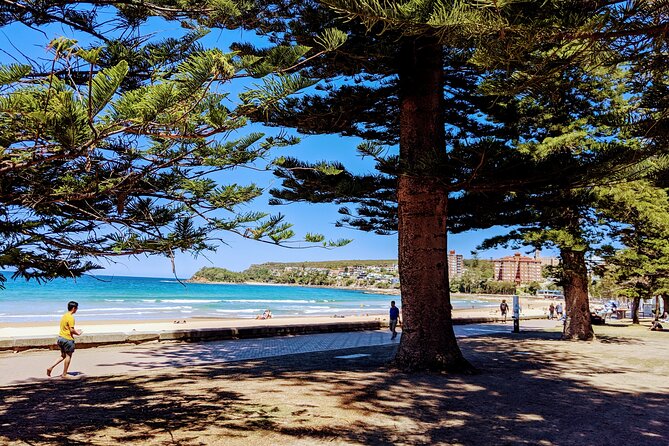 Golden Beaches and Ocean Vistas MANLY AND NORTHERN BEACHES PRIVATE TOUR - Key Highlights You’ll Feel Immediately