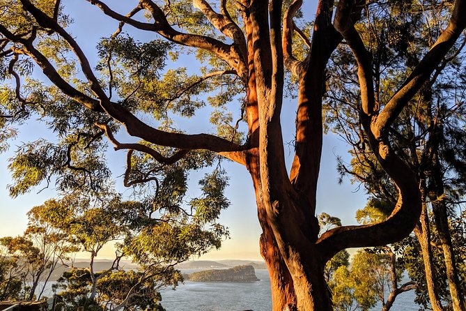 Golden Beaches and Ocean Vistas MANLY AND NORTHERN BEACHES PRIVATE TOUR - Little Manly Beach and Manly Cove Rock Pools