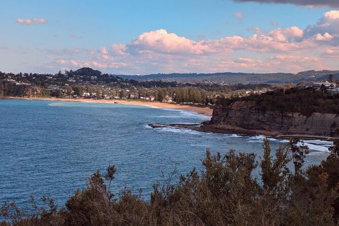 Golden Beaches and Ocean Vistas MANLY AND NORTHERN BEACHES PRIVATE TOUR - North Head: The Cliff-Edge Hike You’ll Remember