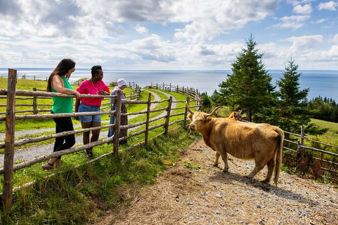 Guided Highland Village and Baddeck Bus Tour for Cruise Excursion - Price and value: what $129.91 covers (and what it doesn’t)