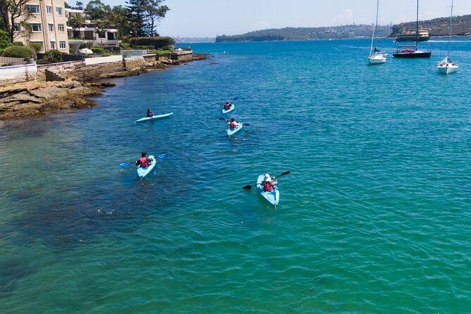 Guided Kayak Tour of Manly Cove Beaches - Stop 3: Store Beach and the relaxed paddle between coves